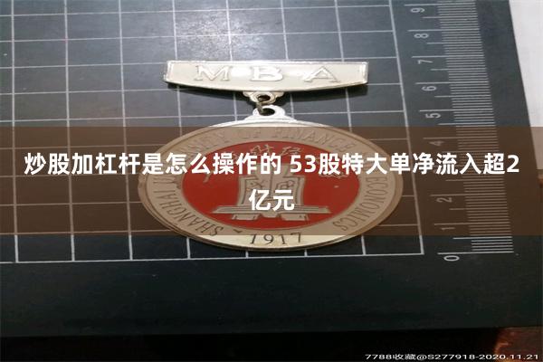 炒股加杠杆是怎么操作的 53股特大单净流入超2亿元