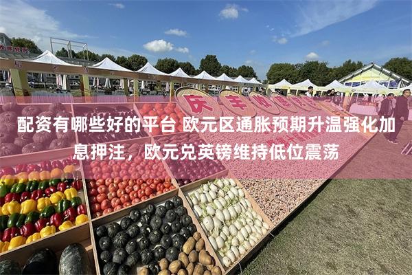 配资有哪些好的平台 欧元区通胀预期升温强化加息押注，欧元兑英镑维持低位震荡