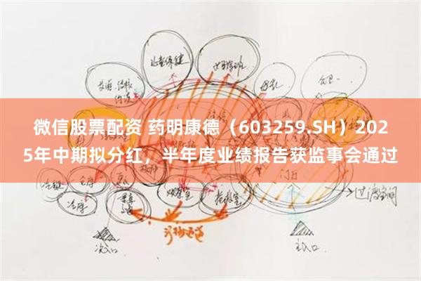 微信股票配资 药明康德(603259.SH)2025年中期拟分红,半年度业绩报告获监事会通过