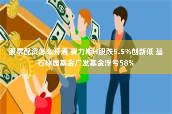股票配资怎么开通 赛力斯H股跌5.5%创新低 基石林园基金广发基金浮亏58%