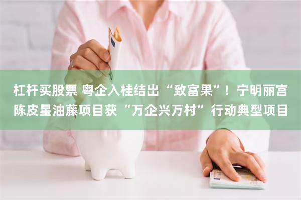 杠杆买股票 粤企入桂结出 “致富果”！宁明丽宫陈皮星油藤项目获 “万企兴万村” 行动典型项目