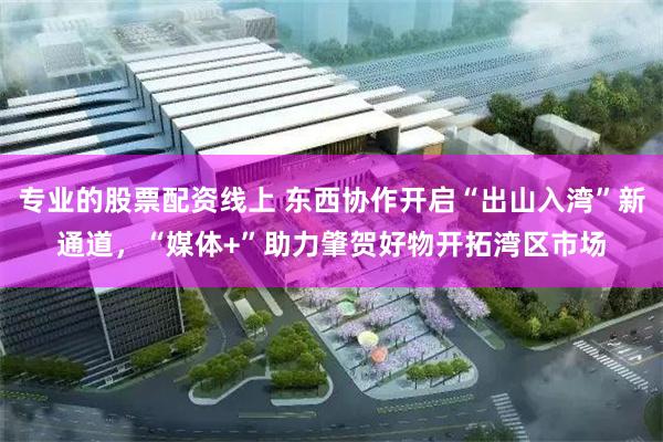 专业的股票配资线上 东西协作开启“出山入湾”新通道，“媒体+”助力肇贺好物开拓湾区市场