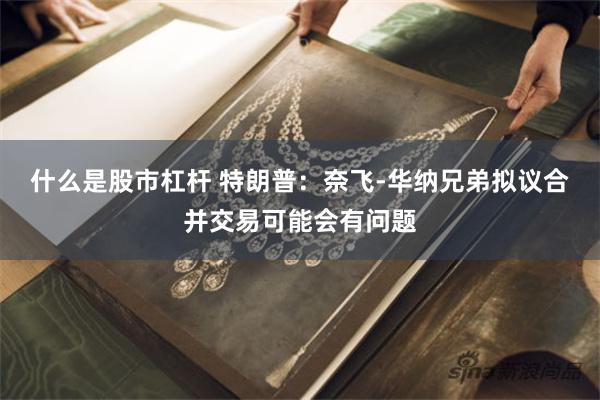 什么是股市杠杆 特朗普：奈飞-华纳兄弟拟议合并交易可能会有问题