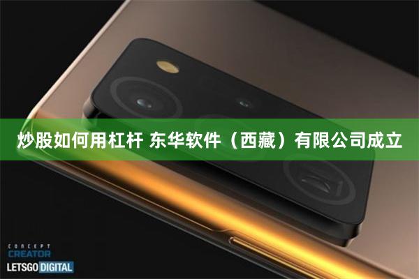 炒股如何用杠杆 东华软件(西藏)有限公司成立