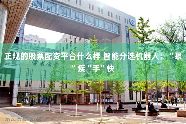 正规的股票配资平台什么样 智能分选机器人：“眼”疾“手”快