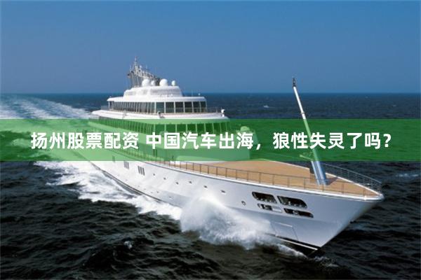 扬州股票配资 中国汽车出海，狼性失灵了吗？