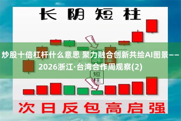 炒股十倍杠杆什么意思 聚力融合创新　共绘AI图景——2026浙江·台湾合作周观察(2)