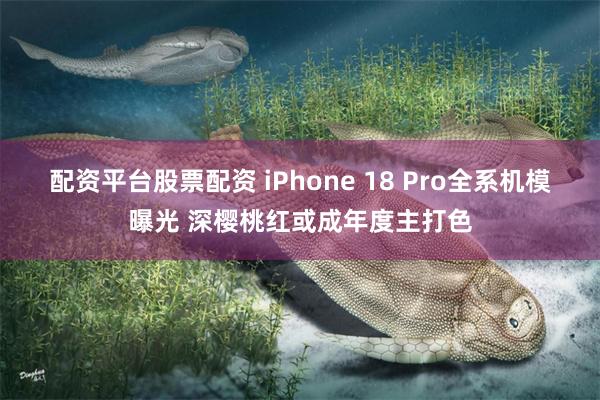 配资平台股票配资 iPhone 18 Pro全系机模曝光 深樱桃红或成年度主打色