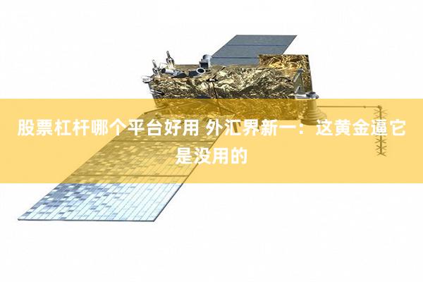 股票杠杆哪个平台好用 外汇界新一：这黄金逼它是没用的