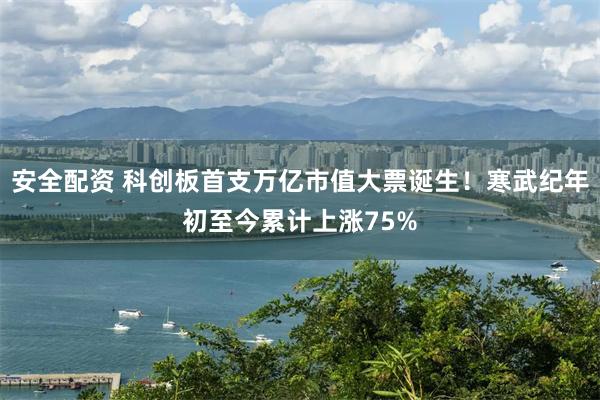 安全配资 科创板首支万亿市值大票诞生！寒武纪年初至今累计上涨75%