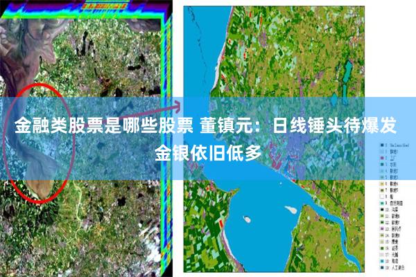 金融类股票是哪些股票 董镇元：日线锤头待爆发 金银依旧低多
