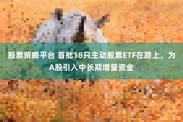 股票策略平台 首批18只主动股票ETF在路上，为A股引入中长期增量资金