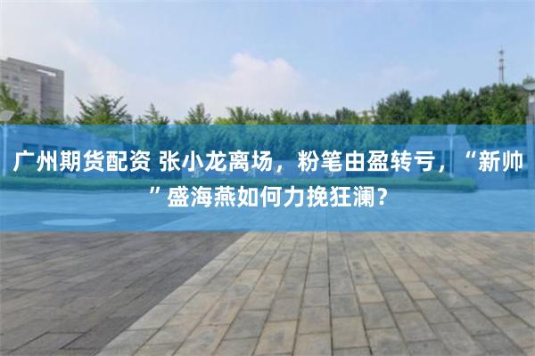 广州期货配资 张小龙离场，粉笔由盈转亏，“新帅”盛海燕如何力挽狂澜？