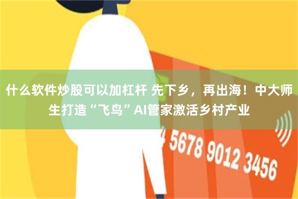 什么软件炒股可以加杠杆 先下乡，再出海！中大师生打造“飞鸟”AI管家激活乡村产业