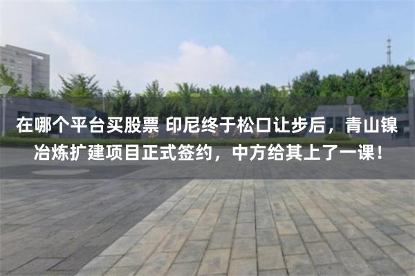 在哪个平台买股票 印尼终于松口让步后,青山镍冶炼扩建项目正式签约,中方给其上了一课!