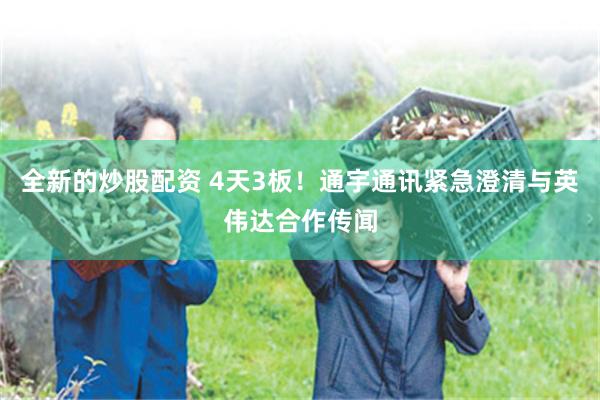 全新的炒股配资 4天3板！通宇通讯紧急澄清与英伟达合作传闻