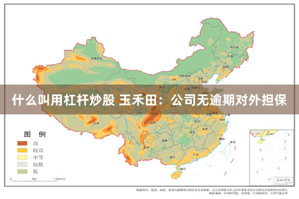 什么叫用杠杆炒股 玉禾田:公司无逾期对外担保