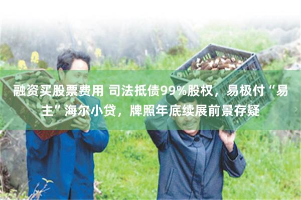 融资买股票费用 司法抵债99%股权,易极付“易主”海尔小贷,牌照年底续展前景存疑