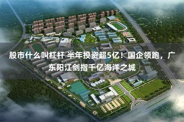 股市什么叫杠杆 半年投资超5亿！国企领跑，广东阳江剑指千亿海洋之城