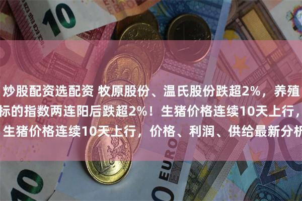 炒股配资选配资 牧原股份、温氏股份跌超2%，养殖ETF汇添富(159172)标的指数两连阳后跌超2%！生猪价格连续10天上行，价格、利润、供给最新分析来了