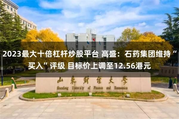 2023最大十倍杠杆炒股平台 高盛：石药集团维持“买入”评级 目标价上调至12.56港元