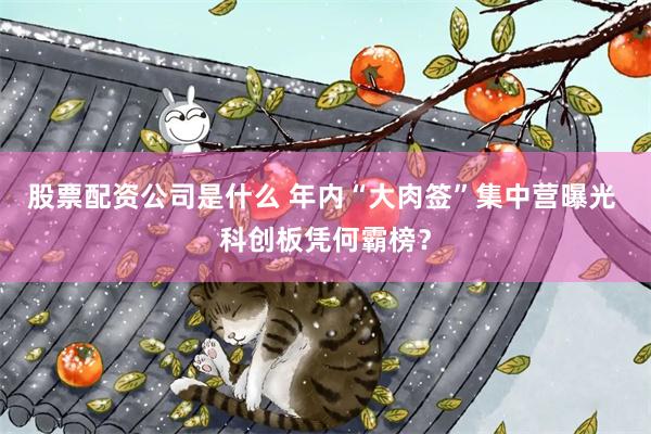 股票配资公司是什么 年内“大肉签”集中营曝光 科创板凭何霸榜？