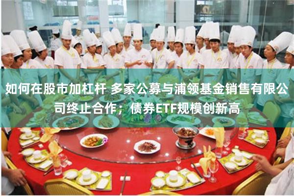 如何在股市加杠杆 多家公募与浦领基金销售有限公司终止合作；债券ETF规模创新高