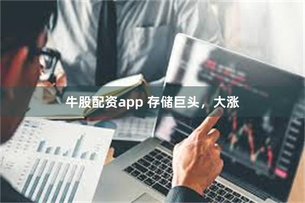 牛股配资app 存储巨头，大涨