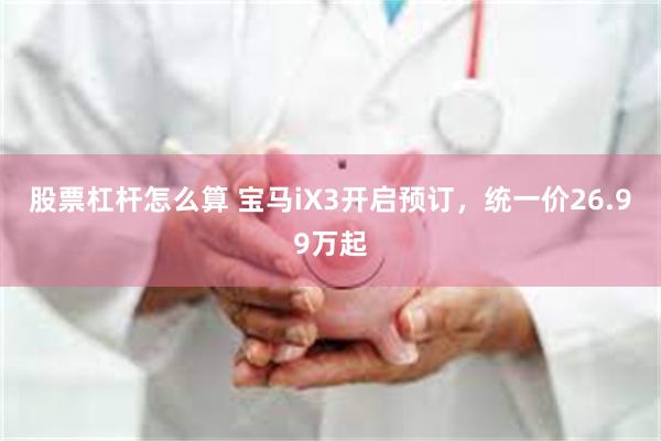 股票杠杆怎么算 宝马iX3开启预订，统一价26.99万起