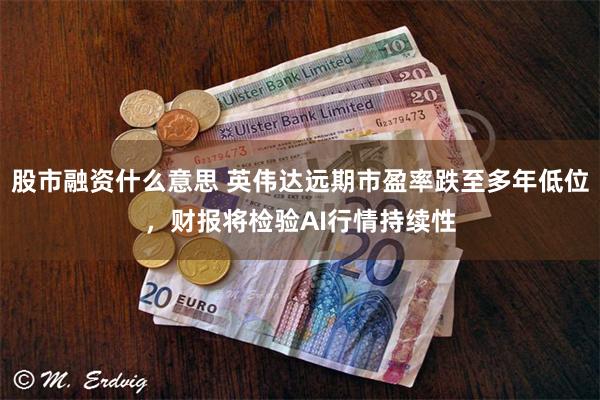 股市融资什么意思 英伟达远期市盈率跌至多年低位，财报将检验AI行情持续性