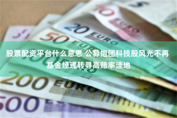 股票配资平台什么意思 公募抱团科技股风光不再 基金经理转寻高赔率洼地