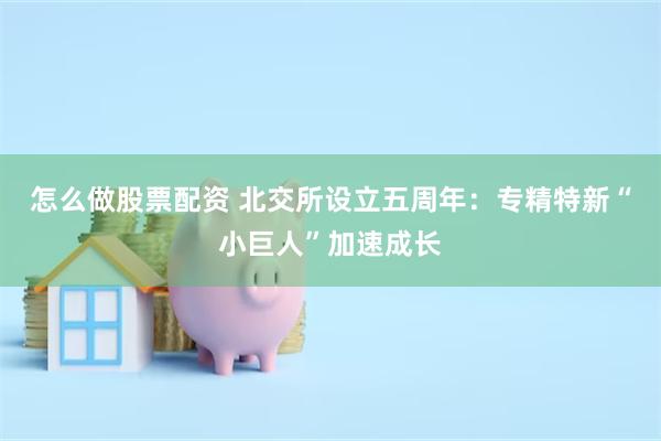 怎么做股票配资 北交所设立五周年：专精特新“小巨人”加速成长