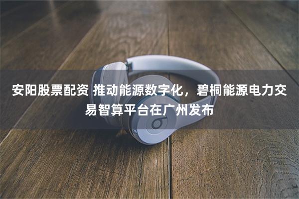 安阳股票配资 推动能源数字化，碧桐能源电力交易智算平台在广州发布