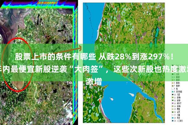 股票上市的条件有哪些 从跌28%到涨297%！年内最便宜新股逆袭“大肉签”，这些次新股也热度激增