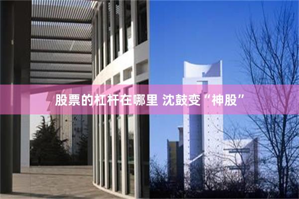 股票的杠杆在哪里 沈鼓变“神股”
