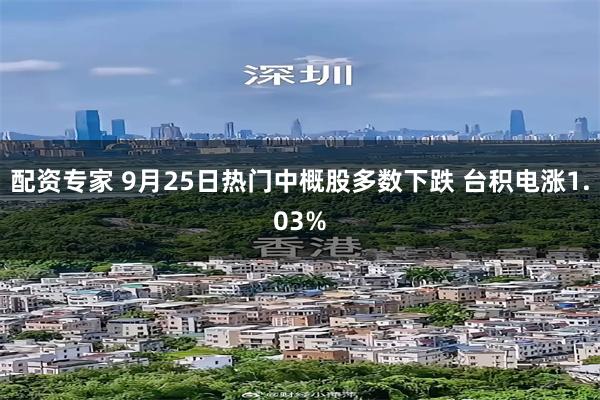 配资专家 9月25日热门中概股多数下跌 台积电涨1.03%