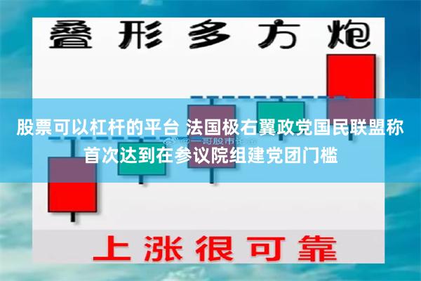 股票可以杠杆的平台 法国极右翼政党国民联盟称首次达到在参议院组建党团门槛