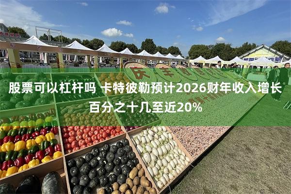 股票可以杠杆吗 卡特彼勒预计2026财年收入增长百分之十几至近20%