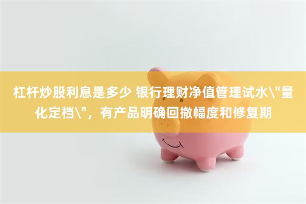 杠杆炒股利息是多少 银行理财净值管理试水