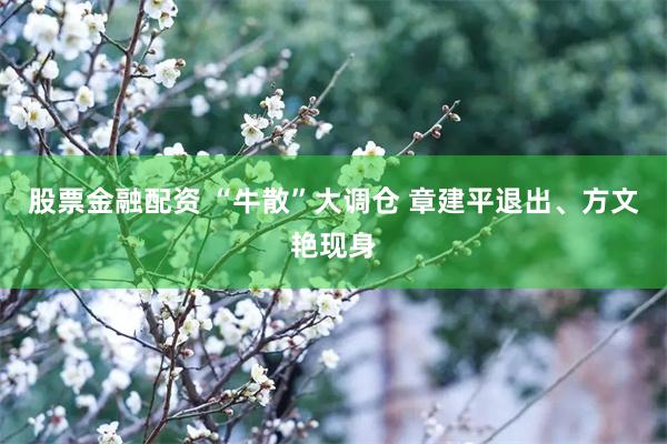 股票金融配资 “牛散”大调仓 章建平退出、方文艳现身