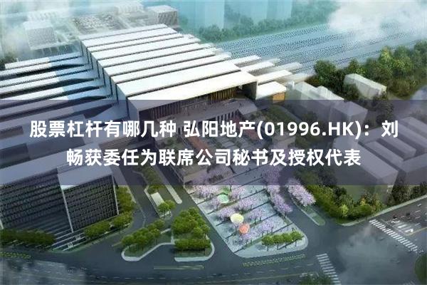 股票杠杆有哪几种 弘阳地产(01996.HK)：刘畅获委任为联席公司秘书及授权代表