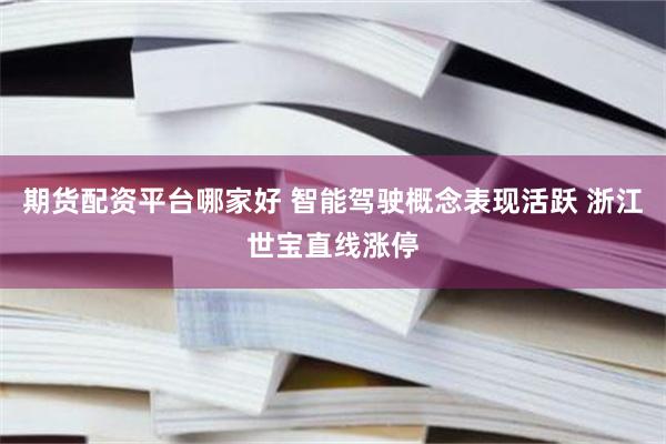 期货配资平台哪家好 智能驾驶概念表现活跃 浙江世宝直线涨停