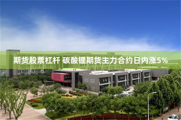期货股票杠杆 碳酸锂期货主力合约日内涨5%