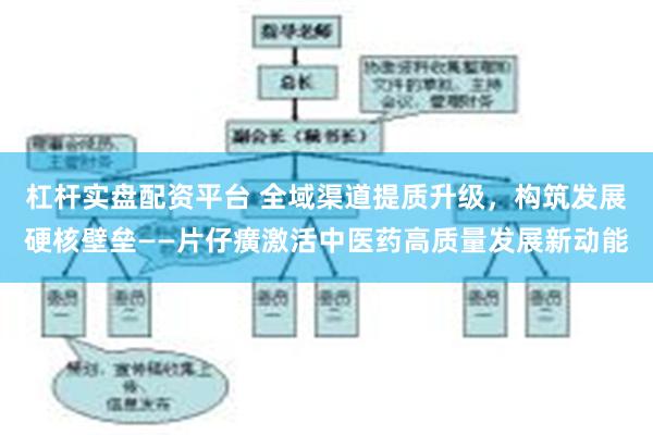杠杆实盘配资平台 全域渠道提质升级，构筑发展硬核壁垒——片仔癀激活中医药高质量发展新动能