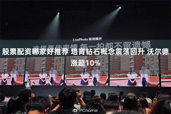 股票配资哪家好推荐 培育钻石概念震荡回升 沃尔德涨超10%